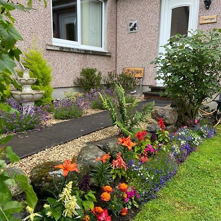 Treetops Bungalow Loch Ness Drumnadrochit Exterior photo