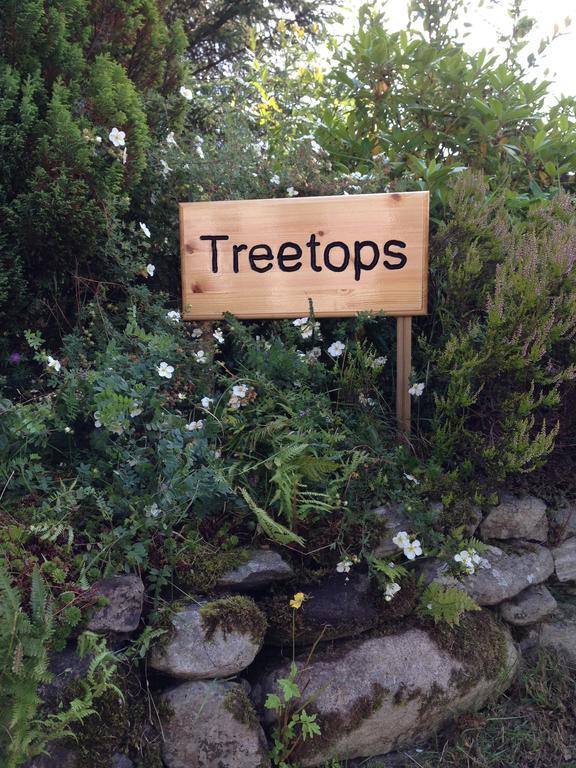 Treetops Bungalow Loch Ness Drumnadrochit Room photo